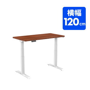 デスク 120 FlexiSpot E7 昇降デスク 電動 オフィスデスク 昇降 昇降式テーブル 電動昇降デスク パソコンデスク 高さ調整 幅120 昇降式デスク 上下昇降 テレワーク 昇降テーブル 昇降式 デスク pc
