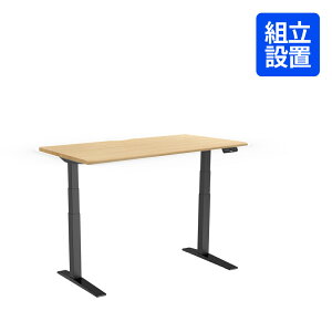 �y�u���b�N�r��8/15���ח\��E�\��̔��z ���~�f�X�N 140 �d�� FlexiSpot E7H ���~���f�X�N �f�X�N ��140cm ���~ �� �p�\�R���f�X�N �I�t�B�X�f�X�N �ݑ� �ݑ�[�N ���~�� ���~�e�[�u�� �d�����~