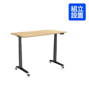 昇降デスク 140 電動 FlexiSpot E7H 昇降式デスク デスク 幅140cm 昇降 机 パソコンデスク オフィスデスク 在宅 在宅ワーク 昇降式 昇降テーブル 電動昇降式デスク スタンディングデスク 事務机 学