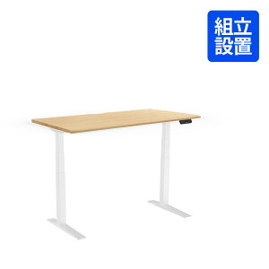 ���~�f�X�N 140 �d�� FlexiSpot E7H ���~���f�X�N �f�X�N ��140cm ���~ �� �p�\�R���f�X�N �I�t�B�X�f�X�N �ݑ� �ݑ�[�N ���~�� ���~�e�[�u�� �d�����~���f�X�N �X�^���f�B���O�f�X�N ������ �w