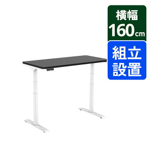 ���|�C���g20�{ 7/26���� ���~�f�X�N ���~�e�[�u�� ���~���f�X�N FlexiSpot E8 �I�t�B�X�f�X�N �p�\�R���f�X�N �� ���~�� �������� �e�����[�N �f�X�N �����[�g �X�^���f�B���O�f�X�N ���[�N�f�X