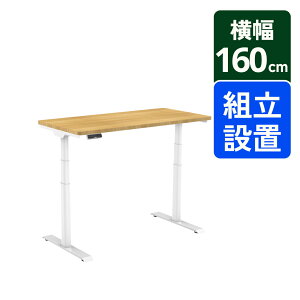 30OFF yVX[p[SALE聚 ~fXN ~e[u ~fXN FlexiSpot E8 ItBXfXN p\RfXN  ~  e[N fXN [g X^fBOfXN 