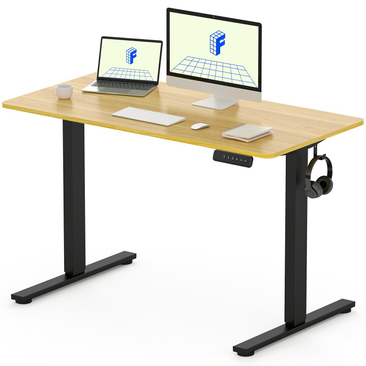 楽天市場】昇降式デスク 電動 Flexispot EF1-Basic 電動デスク 昇降式  