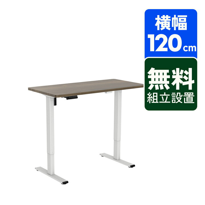 楽天市場】昇降デスク 電動 【組立設置無料】 Flexispot EF1 昇降式  