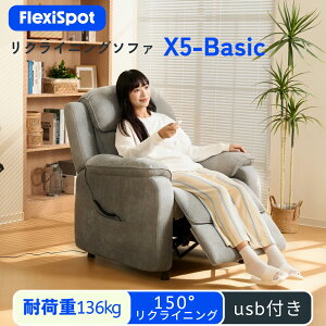 ���N���C�j���O�`�F�A �d�� USB�t�� 1�l�|�� ���N���C�j���O�\�t�@ FlexiSpot X5 Basic �d���\�t�@ �I�b�g�}���t�� �G�X�e �l�C�� �d���\�t�@ ������� ��l�p �v���[���g ���� �M�t�g