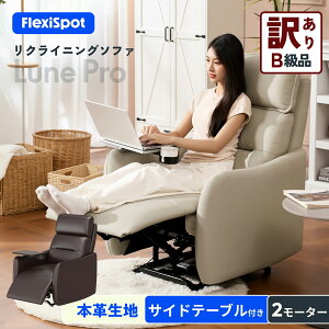 �y�󂠂�i�EB���i�E���ʌ���z ���N���C�j���O�`�F�A �{�v �e�[�u���t�� USB Type-C ���N���C�j���O�\�t�@ �d�� �y�����g���ݒu�z FlexiSpot Lune Pro �d���\�t�@ 1�l�|�� ���N���C�j���O �{�v���n 