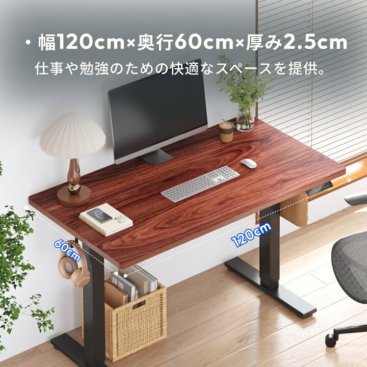 楽天市場】昇降デスク 電動 Flexispot EF1 天板120*60cm 昇降式 
