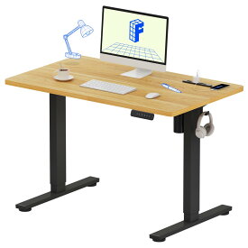 昇降式デスク 電動 コンセント付き Flexispot EF1 Pro 電動デスク 昇降式テーブル オフィスデスク 昇降テーブル 昇降 在宅ワーク 机 幅100 120 デスク 昇降式 テレワーク リモートワーク 昇降式デスク パソコンデスク 高さ調節 デスク