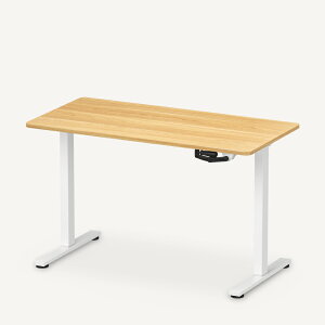 ~fXN 蓮 Flexispot H1 Basic X^fBOfXN tLVX|bg ItBXfXN  蓮 ~e[u ~ ~ k wK փe[u p\RfXN  fXN 