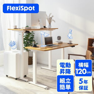 ~fXN d ~ FlexiSpot E9 ItBXfXN gȒP d~fXN ~e[u e[N fXN ~ e[u fXN ݑ[N gݗ ȒP pcfXN 120 p\R