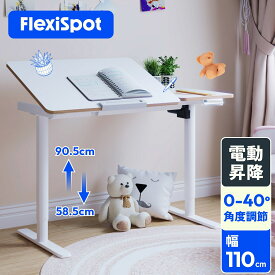 電動昇降デスク 学習机 シンプル コンパクト 昇降 電動式 FlexiSpot SD2 昇降デスク 昇降式デスク 子供用デスク 勉強机 高さ調節 学習デスク 昇降テーブル デスク 机 オフィスデスク スタンディングデスク おしゃれ 幅110cm