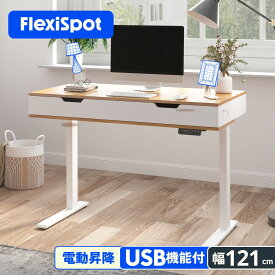 デスク 引き出し 収納 昇降 高さ調節 昇降デスク 昇降式デスク 電動 FlexiSpot ud4 オフィスデスク スタンディングデスク 学習机 シンプル 立ち机 昇降デスク 昇降テーブル 昇降式テーブル パソコンデスク 電動デスク 高さ調整 幅120