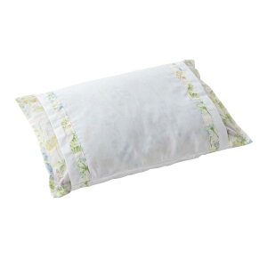 A~s[ ΂疍 30 × 45 cm  ł  { ܂ k ň^  񂱂  Ki