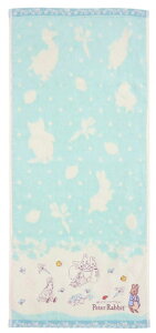  tFCX^I s[^[rbg 34×80cm 100% hJ