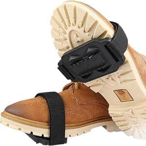 morytrade ~ XpCN AC[ Cp ᓹ J^ t[TCY