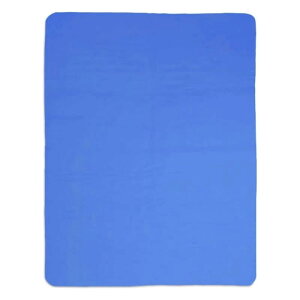 Z[^I XC^I ^I X|[c^I _炩AAyʁAϋvAz \́Aėp\A܂肽ݎ u[ 1 66x43cm