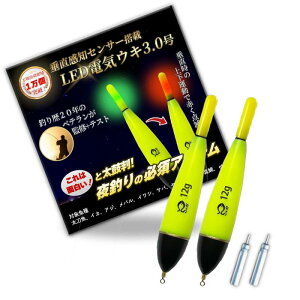 ymLEDdCELz limande dCEL ނ EL2Zbg drt CR425 񎩗 tBbVOCgy5oG[Vz