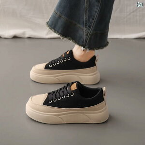 fB[X  Xj[J[  ig t t@bV JWA ^C  킢 y Lk z ʋΗp AC{[