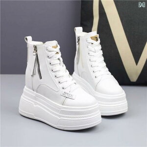 u[c fB[X  ₷ ӂӂ H~ [Nu[c [gu[c  JWA 