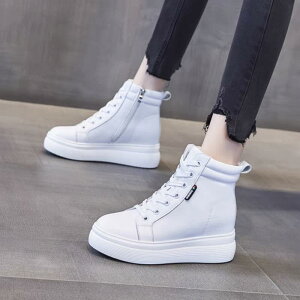 u[c fB[X  ₷ ӂӂ H~ [Nu[c [gu[c  JWA 