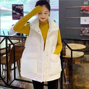 fB[X _E xXg ~ m[X[u  ۉ AE^[ t@bV y   ig ʋΗp rbOVGbg