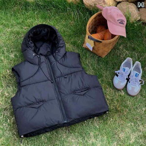 fB[X _ExXg t[ht V[g  ۉ y ȑf H~ ʋΗp ig AE^[