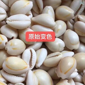 �L�k �A�N�Z�T���[ �V�R �ϐF ���E �P�E �o�E ���L DIY ��| �z�[���f�R���[�V���� ���킢�� �y�� ���� ����