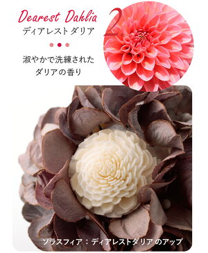 楽天市場 ポプリ 箱入り ローズ ダリア ピオニー かわいい おしゃれソラフラワー ソラスフィア ギフトボックス 芳香剤 花 天然 母の日 バレンタイン ホワイトデー トイレマットの店 ルーブルダール 楽天市場 ポプリ 箱入り ローズ ダリア ピオニー かわいい おしゃれソラフラワー ソラスフィア ギフトボックス 芳香剤 花 天然 母の日 バレンタイン ホワイトデー トイレマットの店 ルーブルダール