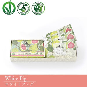 Ό Ō` Ό Ō` ΂  nh\[v Mtgt_ tOX\[vMtgZbg ΂190g TVF3nhCh C^A A100VgX zCgtBO s