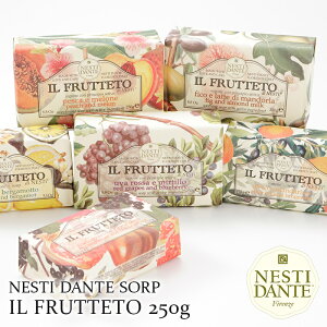 Ό Ō` ΂  \[vlXeB_e tbe[gV[Y 250gnhCh C^A A100C`WN A[h~NxKbg VgX UNJVX s[` O