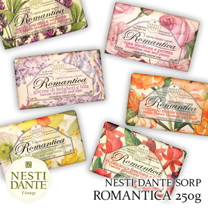 Ό Ō` ΂ \[v  lXeB_e }eBJ 250gnhCh C^A A100sIj[ CbN `F[ubT o[xi C[ W[t[