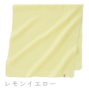 y2_300~ 4_800~OFFzoX^I    100 { щHȂ z RpNg B  n ^т₷ɔ oX^I GufCACGkW[ 60×