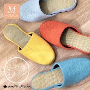 Xbp ~    NbVq t~ fB[X Y jp炶  bNX  [V[Y CXbp DF22H36 MTCY