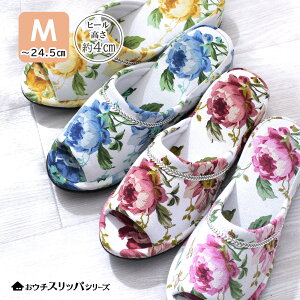 Xbp ~p q[  q  I[V[Y ~p Zbg fB[Xi GKg 킢  [V[Y OJ ԕ [Yu[PXbp DF22A16 MTCY Pn 