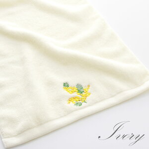 ^I tFCX^I { nh^I @ gC ~UK[f ^I 34×90cm AC{[ u[ CG[ F