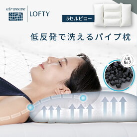 枕 硬め【 低反発 パイプ枕】まくら 安眠枕 肩こり 首こり 洗える 横向き 仰向き 高い 低い 快眠枕 パイプ 炭 サポート ロフテー 5セルピロー 低反発炭パイプ makura エアウィーヴグループ