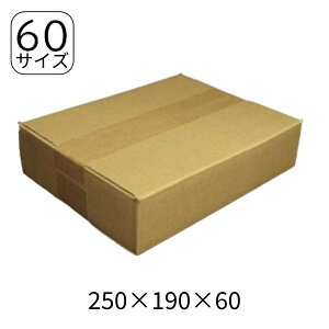 _{[ 50TCY 250×190×60 y160z 䂤pPbgpt z60TCY 6cm őTCY i{[ _{[ i{[  ^