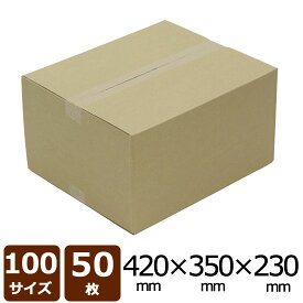 No.28 ダンボール 茶 100サイズ 420*350*230 50枚 BF C5 【法人限定】【送料無料】 （ ダンボール 引越し 引っ越し 段ボール ダンボール箱 段ボール箱 収納 宅配 ）