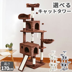 yGg[Ń|Cg5{Iz Lbg^[ L^[ Lbg^[  ^L  u X ^ ^ nbNt 킢  ^s   ܂Ƃ 