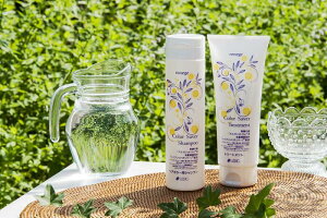 J[ZCo[Vv[g[ggyJ[AєCAAKICAAƂAvpz