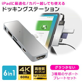 iPad 用 USB Type C ポータブル ドッキングステーション iPhone 15 HDMI ハブ タイプC Type A USB 3.2 Gen 1 変換アダプタ 4K 6in1 LHB-LPAPWP6U3D new
