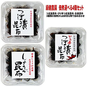 ڒЍz Iׂ(ڒЍzE҂hEI)4 MtgZbg,Ό_,ڒ,Mtg,