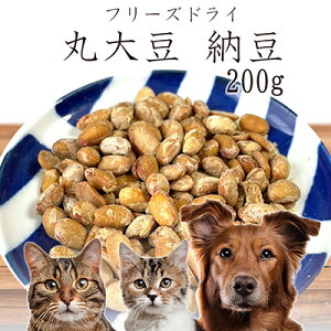  Y YikCYj t[YhCۑ哤[ 200g SXybg p Lp L Lp L Lp I[KjbN
