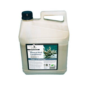 X}C[ybg fbhV[~lY ~l}bhRfBVi[ 5L