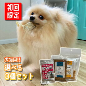 ※同梱不可 【初回限定】【1000円ポッキリ 送料無料】【セット】 犬 おやつ 無添加 犬猫用 ペット 国産 40種類から選べる3個セット ペットおやつ 犬のおやつ 猫のおやつ おためし 少量 小分け 小袋 犬オヤツ 多頭飼い シニア サプリ 国産 犬用おやつ 乳酸菌 オヤツ