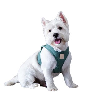 FuzzYard t@Y[h LIFE XebvCn[lX }[gO[ p 5iLjTCY