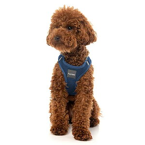 FuzzYard t@Y[h XebvCn[lX } p 3iMjTCYy[ցz