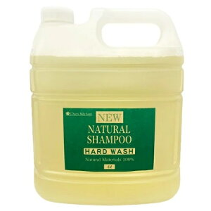 VV R̃Vv[ n[hEHbV 4L