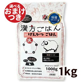 漢方ごはん改めげんかつごはん ドライタイプ 火(羊肉ベース) 犬用 1kg