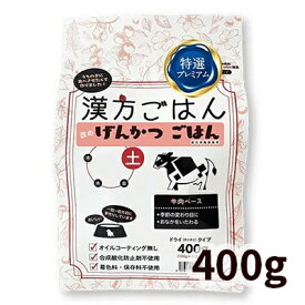 漢方ごはん改めげんかつごはん ドライタイプ 土（牛肉ベース・グルテンフリー） 犬用 400g